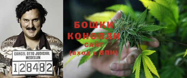 гидра Алексеевка