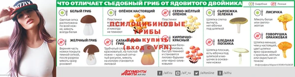 кокс Алексин