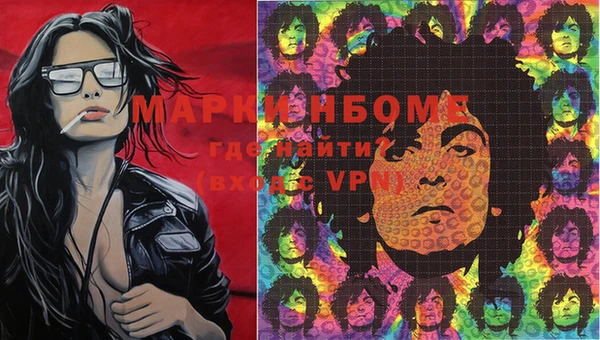 кокс Алексин