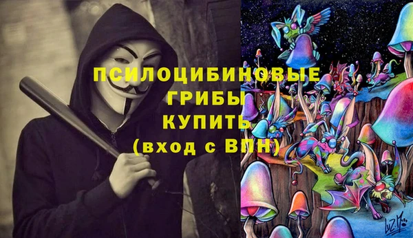 твердый Алзамай